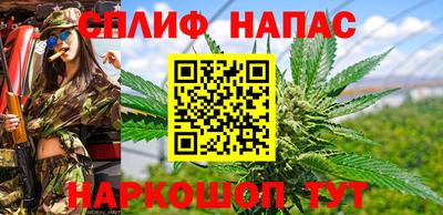 сатива Сертолово