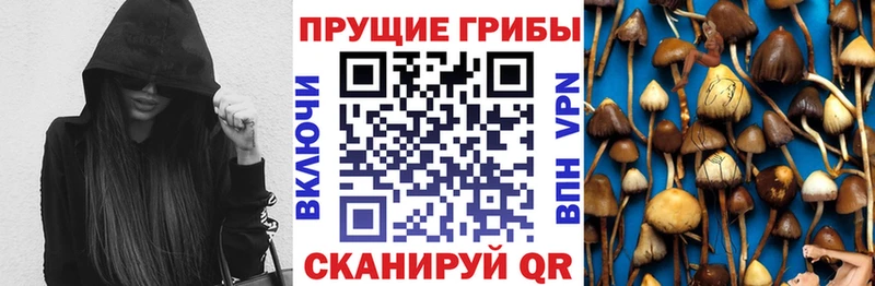 Псилоцибиновые грибы мухоморы  Конаково 