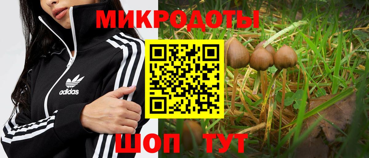 Конаково  Псилоцибиновые грибы прущие грибы  Вход с VPN 